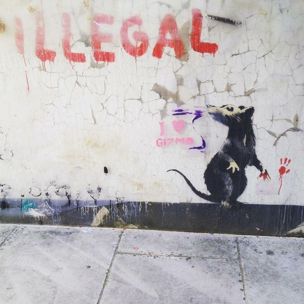 Illegal rat. #graffiti #streetart #streetartlondon #Banksy by isadarko http://t.co/wyTS8VZGkB