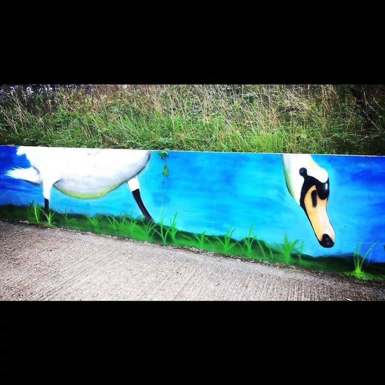 #streetartlondon #notbanksyforum #swan by #dogdays777 #StreetArt #Graffiti #mural by sjaakbenigoi http://t.co/tmT0CUdlM5