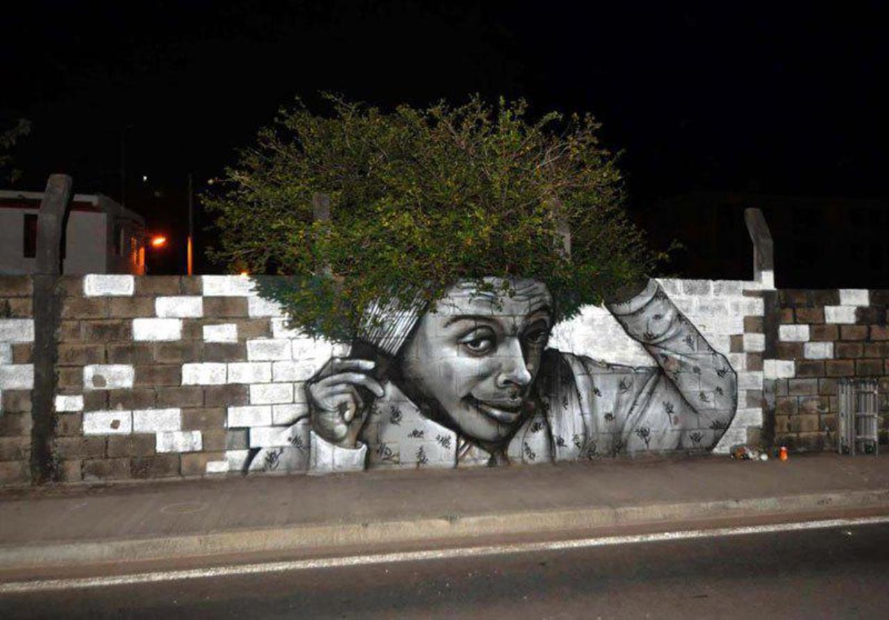 RT @WalkForTrees: #Trees are the new urban cool #streetart #graffiti #TreeLove #greencity #sustainablecities #sustainability http://t.co/DNRIkS3fCg