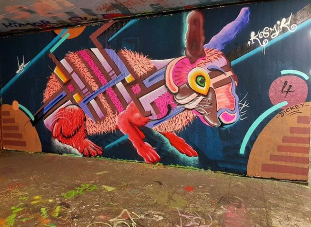 Rainbow Rabbit... #streetart #graffiti https://t.co/OpVEgu7Nrm