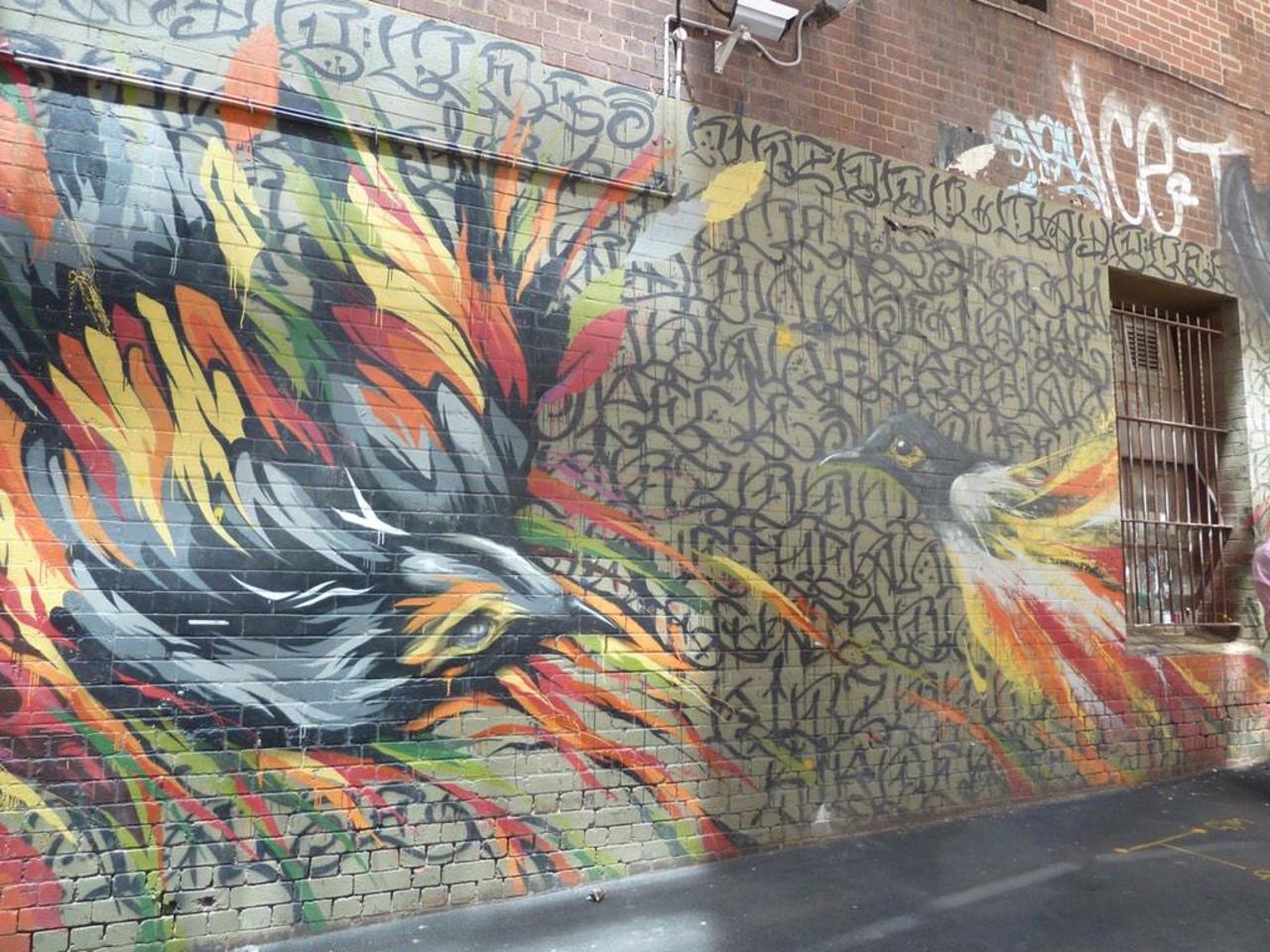 A favourite piece of mine from my recent trip to Melbourne #streetart by #houseofmeggs & #mayonaize #graffiti #mural http://t.co/8MiUdJLZBN