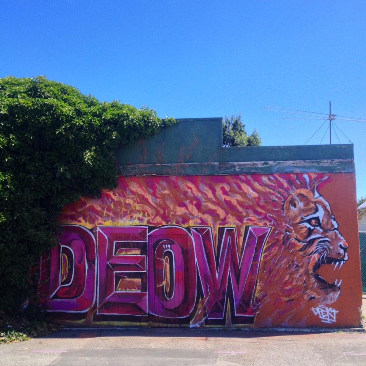 #deow in Invercargill the worlds southern most city. New Zealand #streetart #graffiti #mural http://t.co/0dRHK2QozW