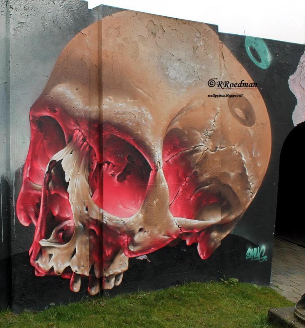 "@RRoedman: #streetart #graffiti  #mural Skull from #Smug in #Eindhoven , 2 pics at  http://wallpaintss.blogspot.nl http://t.co/lhtuUv4RYE"
