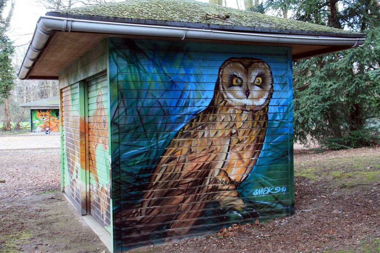 "@RRoedman: #streetart #graffiti  #mural nice Owl from #Smok in #Edegem , 2 pics at  http://wallpaintss.blogspot.nl http://t.co/lNuNZKfjPy"