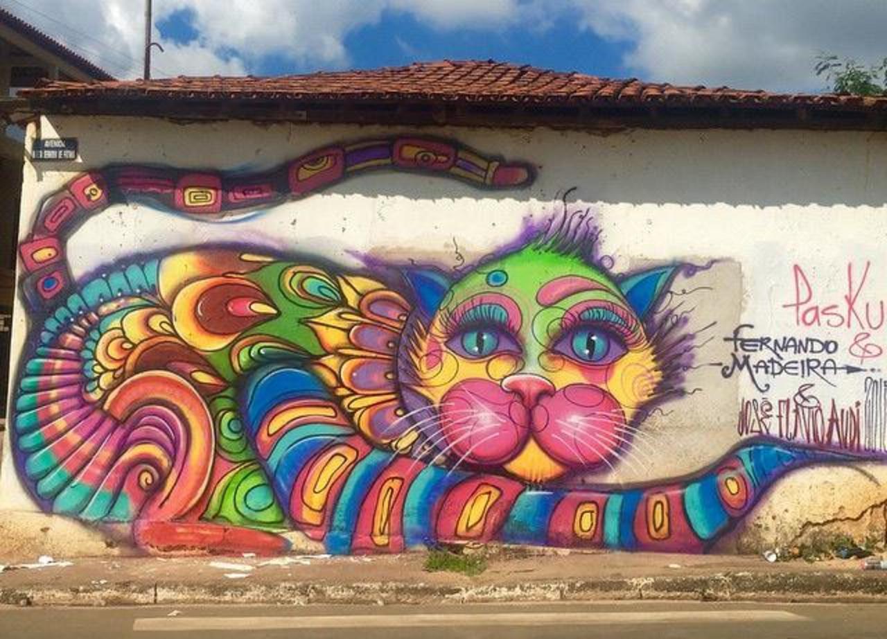 Street Art by Fernando Maderia 

#art #arte #graffiti #streetart http://t.co/eOXKHmF6UR
