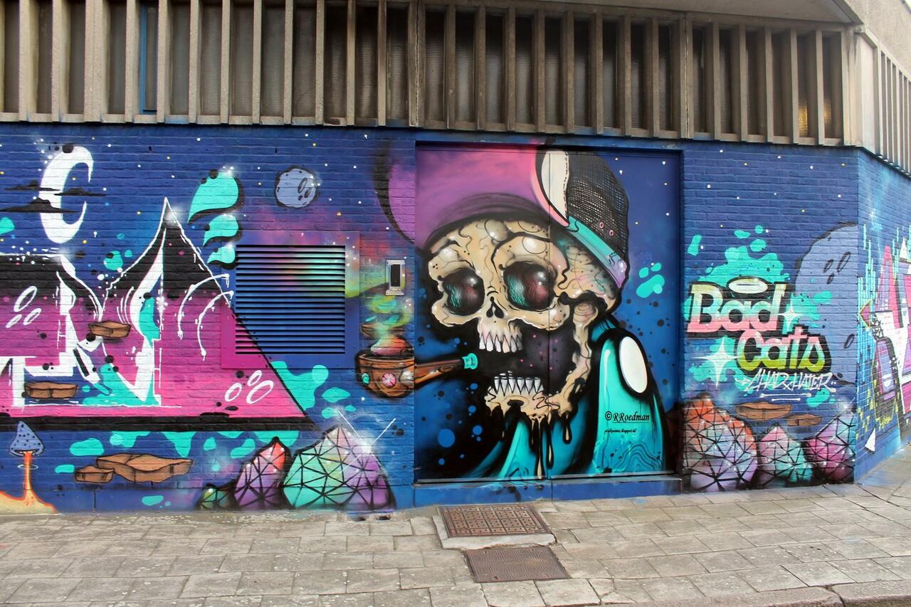 "@RRoedman: #streetart #graffiti #mural smoking skull in #Berchem  #Belgium, 2 pics at  http://wallpaintss.blogspot.nl http://t.co/yn6KZ0bRjg"