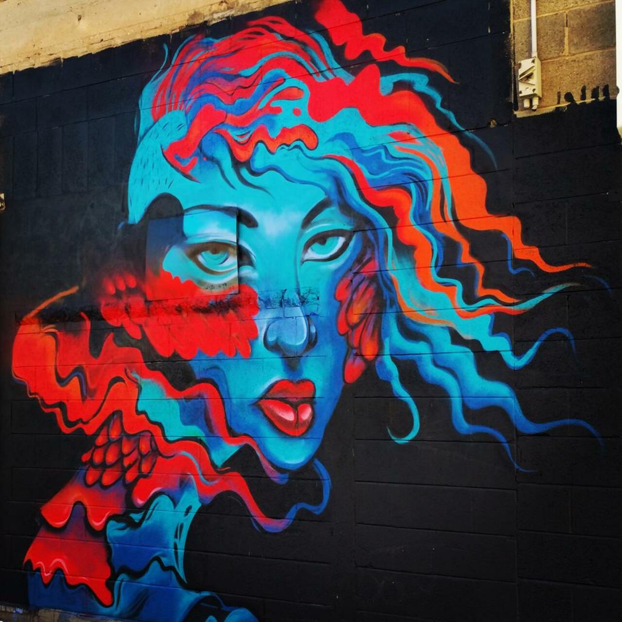 #Sarah_Boese #Adelaide #SouthAustralia #streetart #IAJOT @arthunterofsa @AdelaideMade @rAdelaide5000 #wallart #mural http://t.co/qIJT8ih7m7