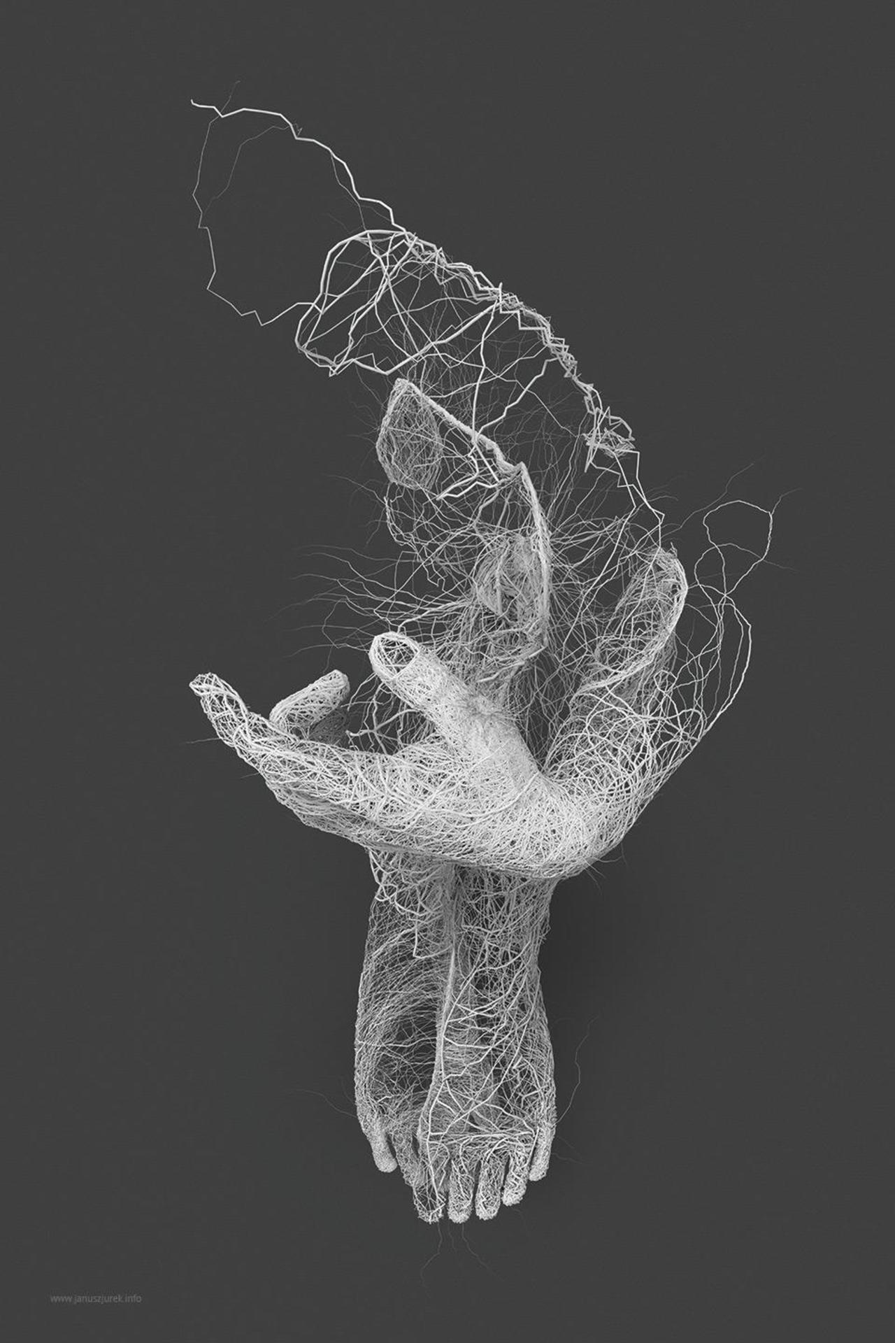 Polish designer & illustrator Janusz Jurek explores generative illustration relating to the human form http://t.co/D9dwFj1I6d