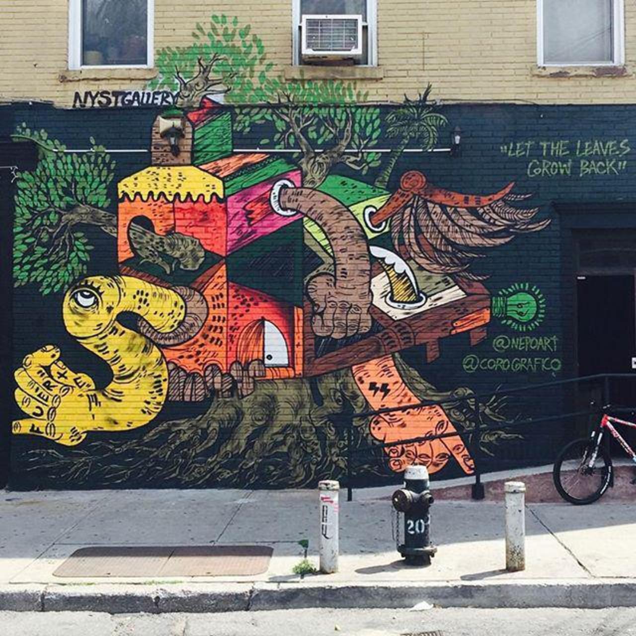 Nepoart corografico #streetart #mural #painting #walls #graffiti #bushwick #brooklyn #nyc #streetartnyc #nycstreeta… http://t.co/SSJfa89ADF