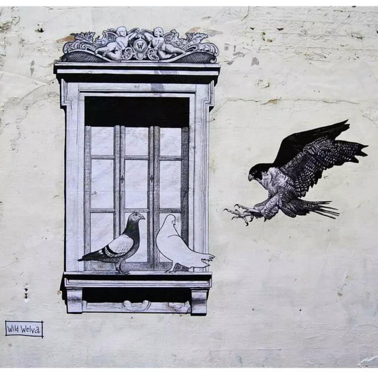 RT @QueGraffiti: Obra de Wildwelva en Huelva, España 
#streetart #mural #graffiti #art http://t.co/L0MEjDs8e5