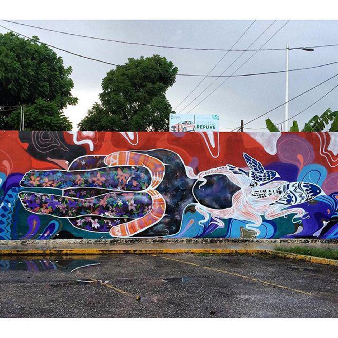 #streetart #arteurbano #urbanart #urban #art #mexico #mural #graffiti #streetartmexico #urbanwalls #wall #streetpho… http://t.co/lumvDCvwv4