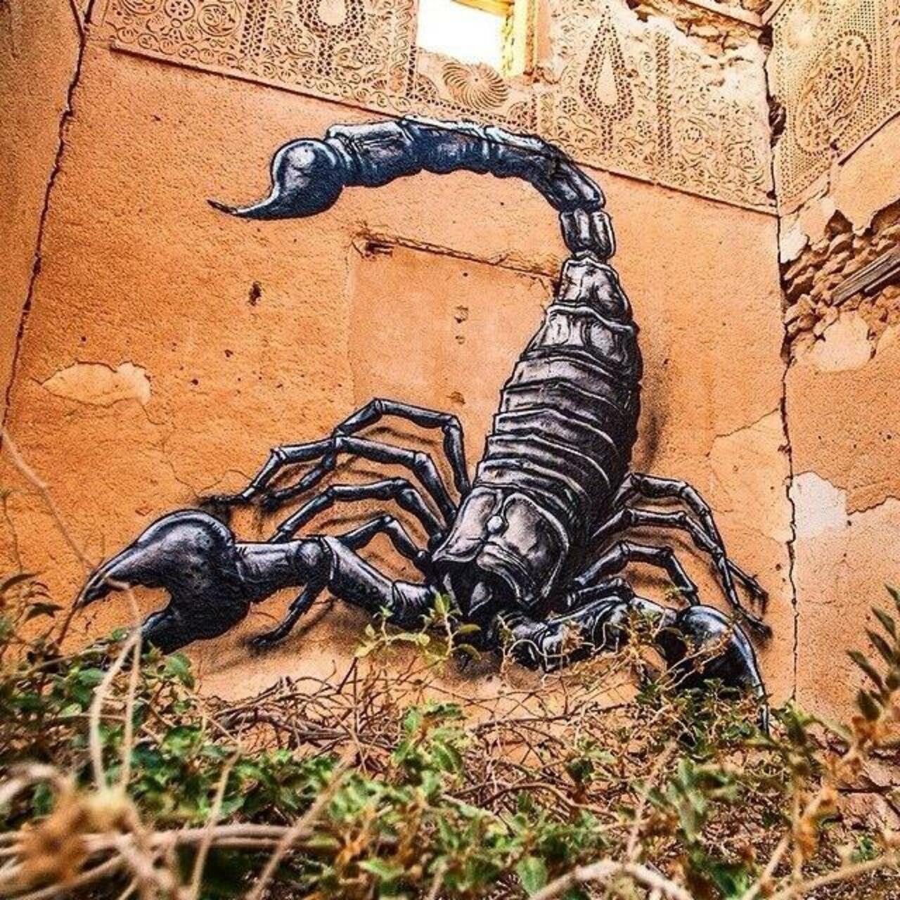 Artist ROA new Scorpion Street Art mural in Djerba, Tunisia #art #graffiti #nature #streetart http://t.co/Ktsa2ud4Ro