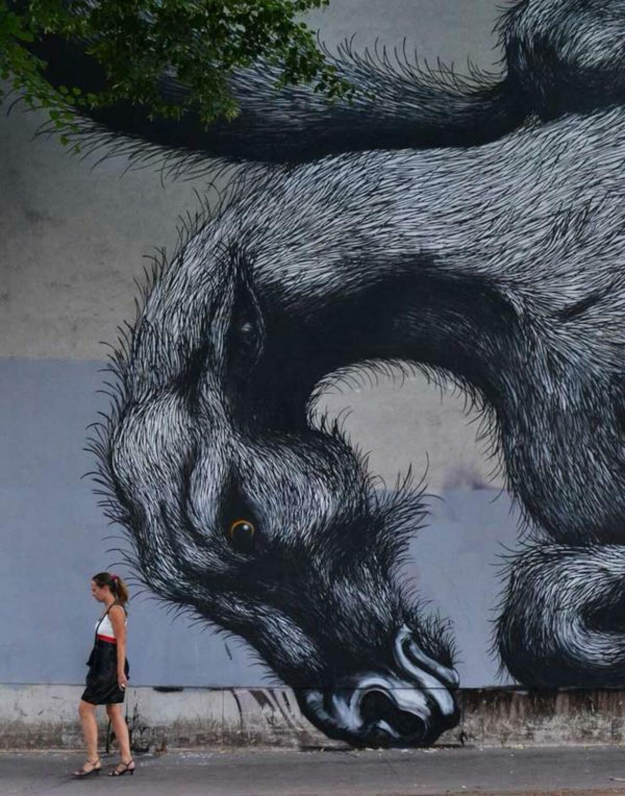 RT @ilusion0ptica: Artista: ROA 
Bélgica
#art #streetart #mural #graffiti http://t.co/XWyWZ0tT4T