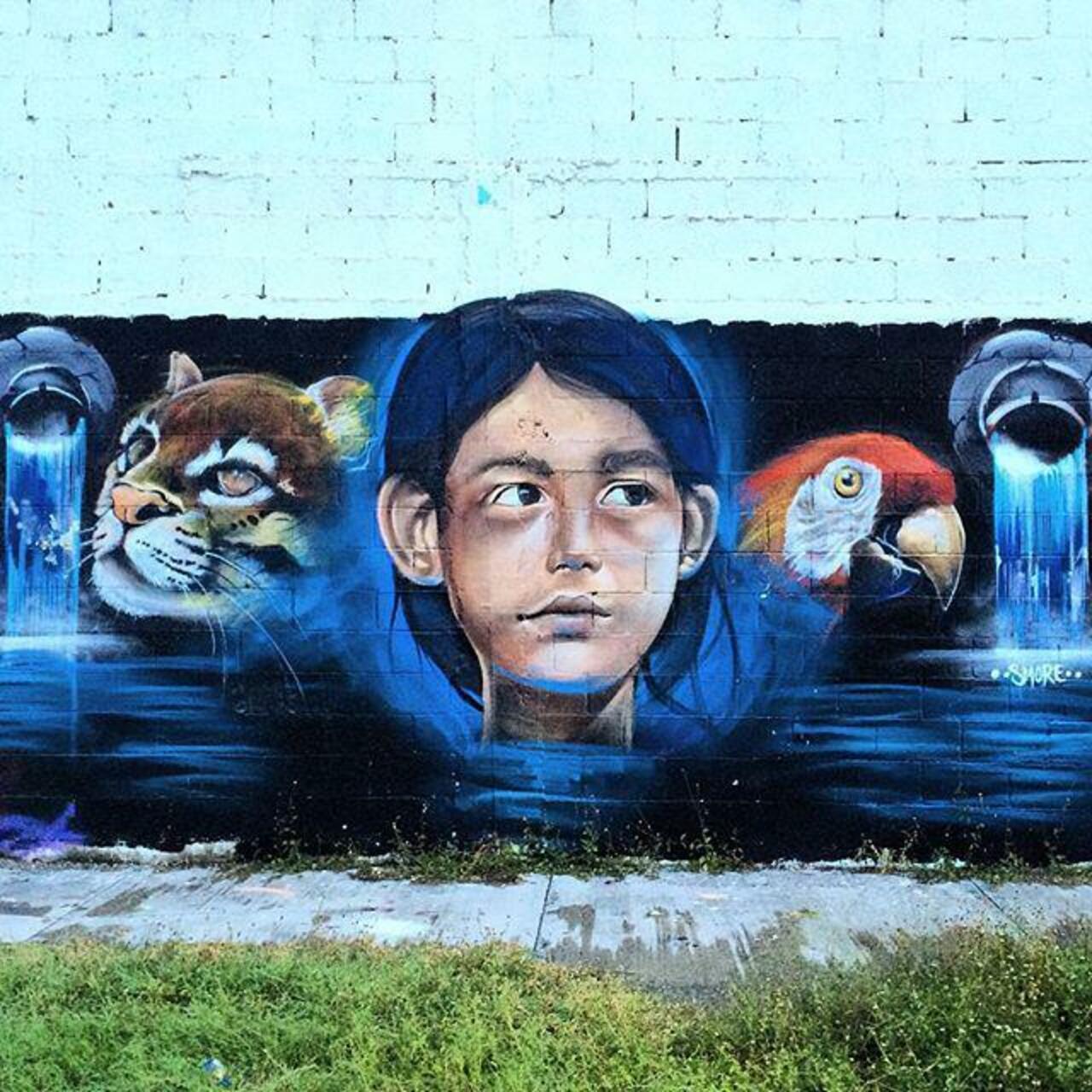 #streetart #arteurbano #urbanart #urban #art #mexico #mural #graffiti #streetartmexico #urbanwalls #wall #streetpho… http://t.co/aYWDCR4s6I