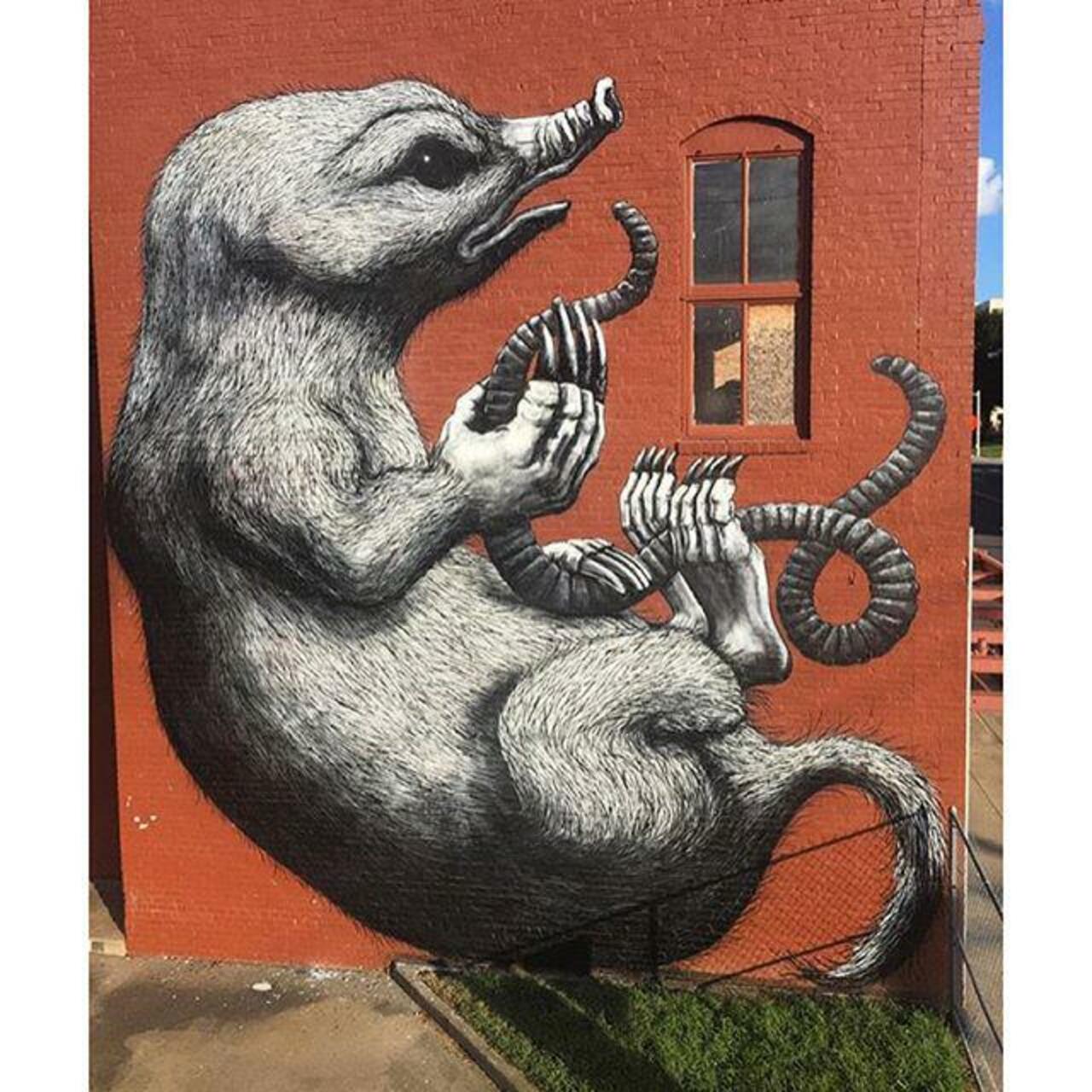 Me gusta! Roa paints a new mural in Arkansas, USA.  #streetart #graffiti #art #urban #urba… http://ift.tt/1ODwdVG http://t.co/4zIyk6eCry