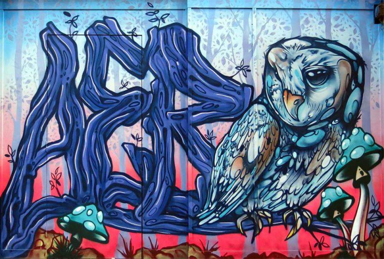 AERO and MORF #graffiti art via @urbanartbrixton ... http://www.urbanart.co.uk/street-art #streetart #urbanart #mural #spraypaint http://t.co/Q06oOy2LKA