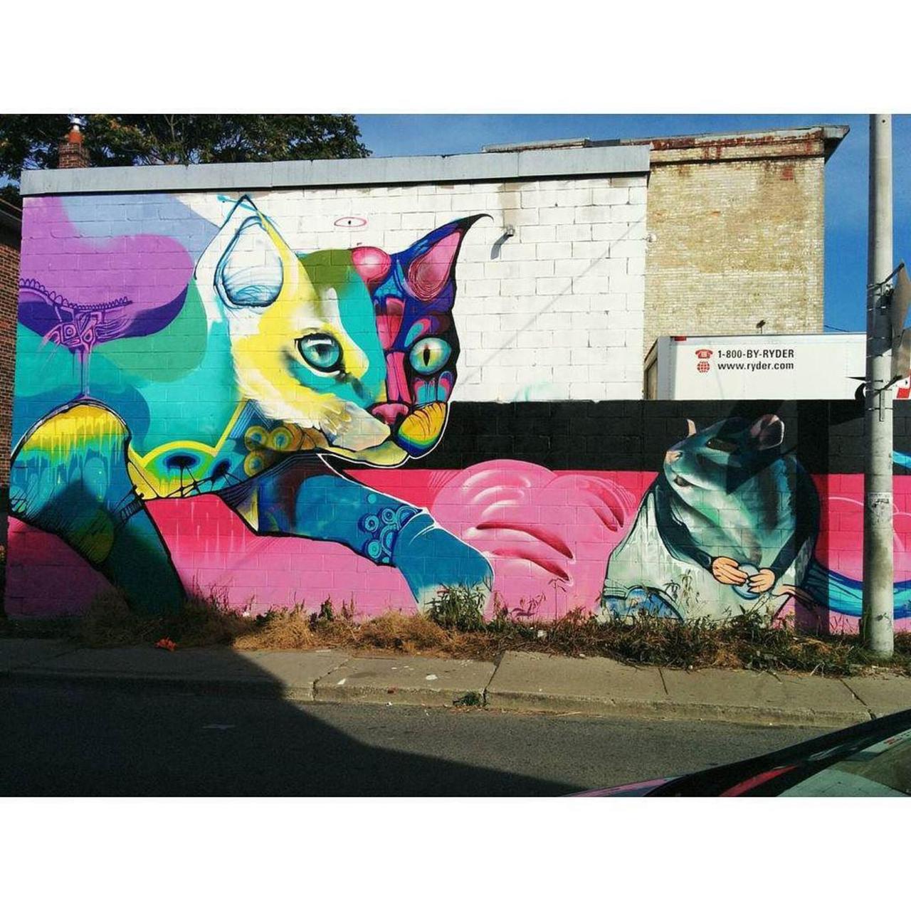 #Toronto #streetart #graffiti #art #tdot #urban #love #cat #mouse http://ift.tt/1O0Jivd http://t.co/lxPJTyYwLg
