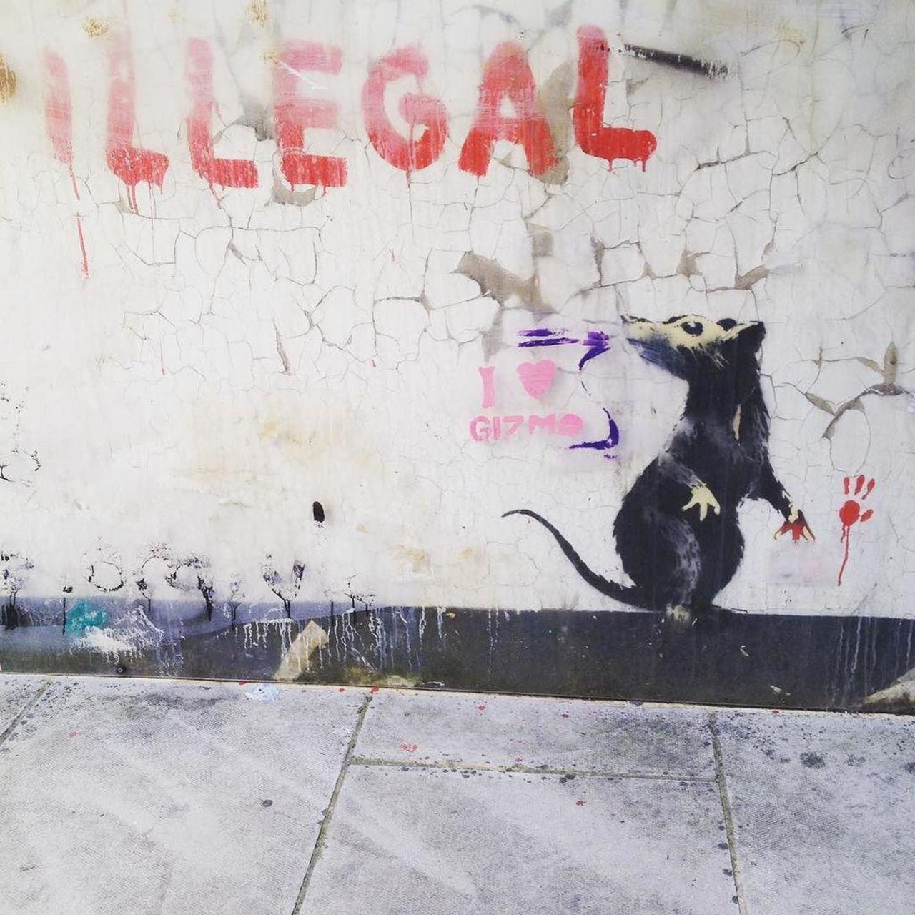 RT @StArtEverywhere: Illegal rat. #graffiti #streetart #streetartlondon #Banksy by isadarko http://t.co/wyTS8VZGkB