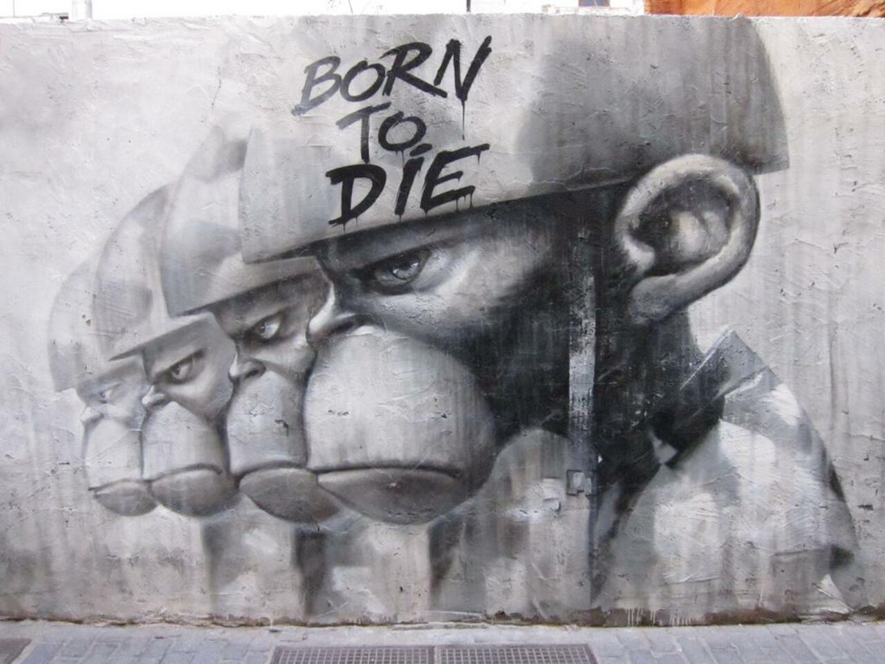 RT @Brindille_: #Streetart #urbanart #graffiti #mural "Born to Die" by #artist Mankey in Valencia, Spain http://t.co/itjyO78Dh7