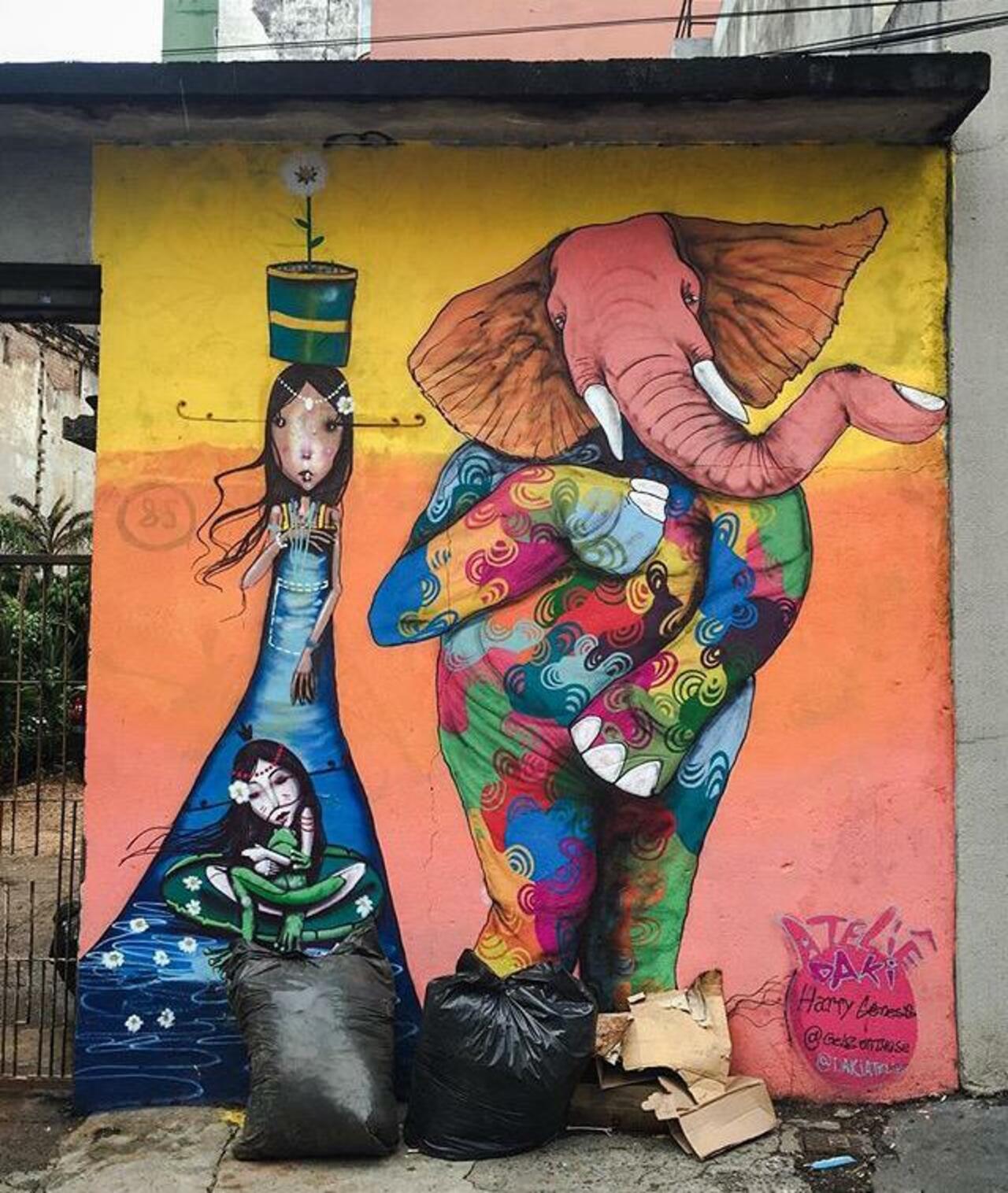 Street Art by Harry Geneis & Gelson in São Paulo 

#art #mural #graffiti #streetart http://t.co/HvLfsSpwZf