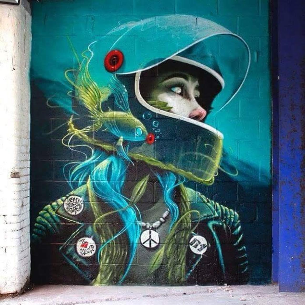 RT @hypatia373: #art #streetart #graffiti 
#Rocket01 http://t.co/PlNUyMkxqe