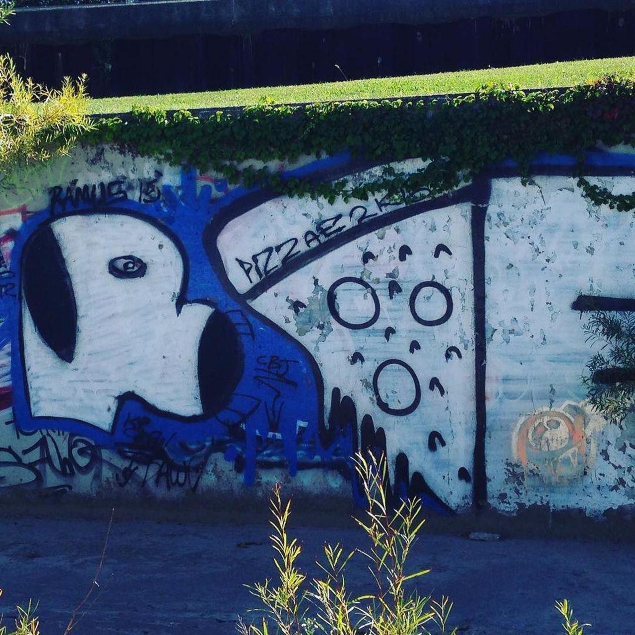#graffitiporn #GraffitiArt #graffiti #streetart #tagging #spraypaint #spraycan #sprayart http://ift.tt/1h10Adc http://t.co/6anzdxVTh5