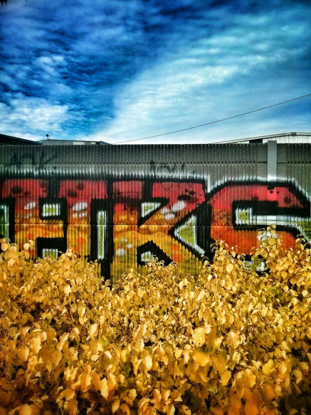 RT @Catjk68: Earlier today...
#streetart #graffiti #urbanart http://t.co/LV89rR8o1C