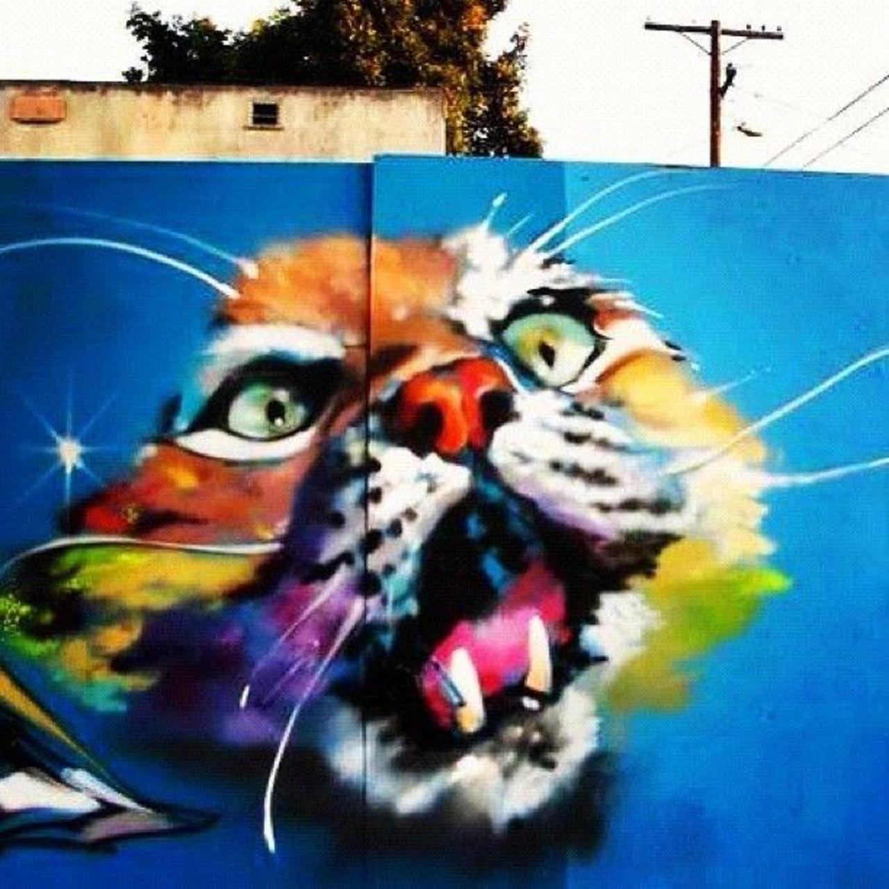 RT @5putnik1: Rainbow Tiger  • #streetart #graffiti #art #tiger #funky #dope . : http://t.co/f5eHwSYgc5