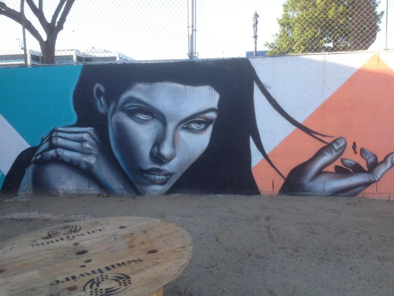 Pure beauty captured and frozen in time. #Streetart portrait in downtown #SanDiego. #Graffiti photo by me! http://t.co/MoXDZG4OTY
