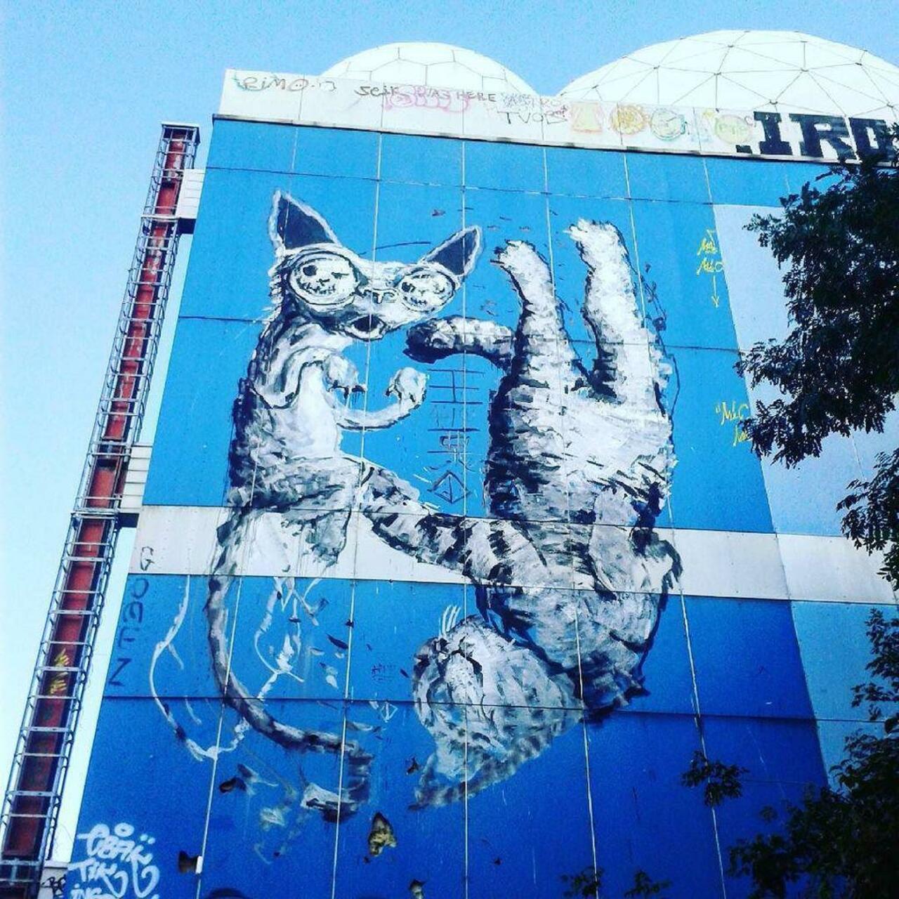#streetart @teufelsberg by @himbad and @alanizart #berlin #berlinstreetart #Teufelsberg #urbanart #graffiti #cat #s… http://t.co/V5yDI2M9bz