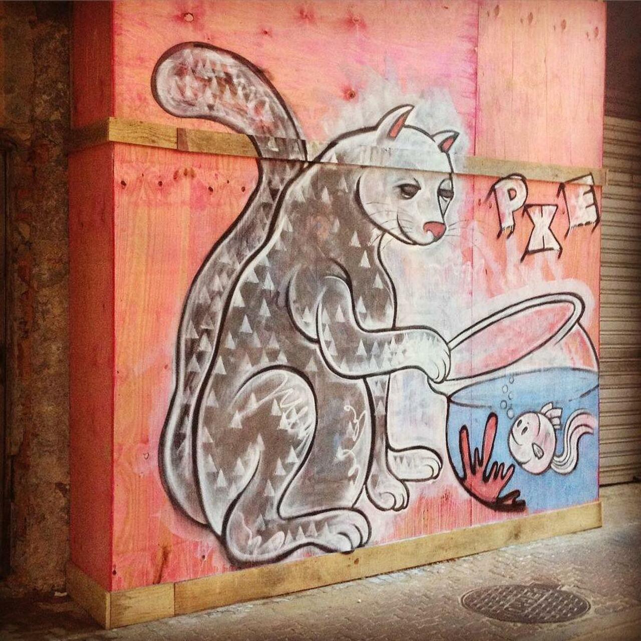 Se não é amor, o que será então? "Untitled feeling" by #PXE #Graffiti #streetart #streetartRio #Ipanema #RiodeJanei… http://t.co/8Xlgrb2CAp