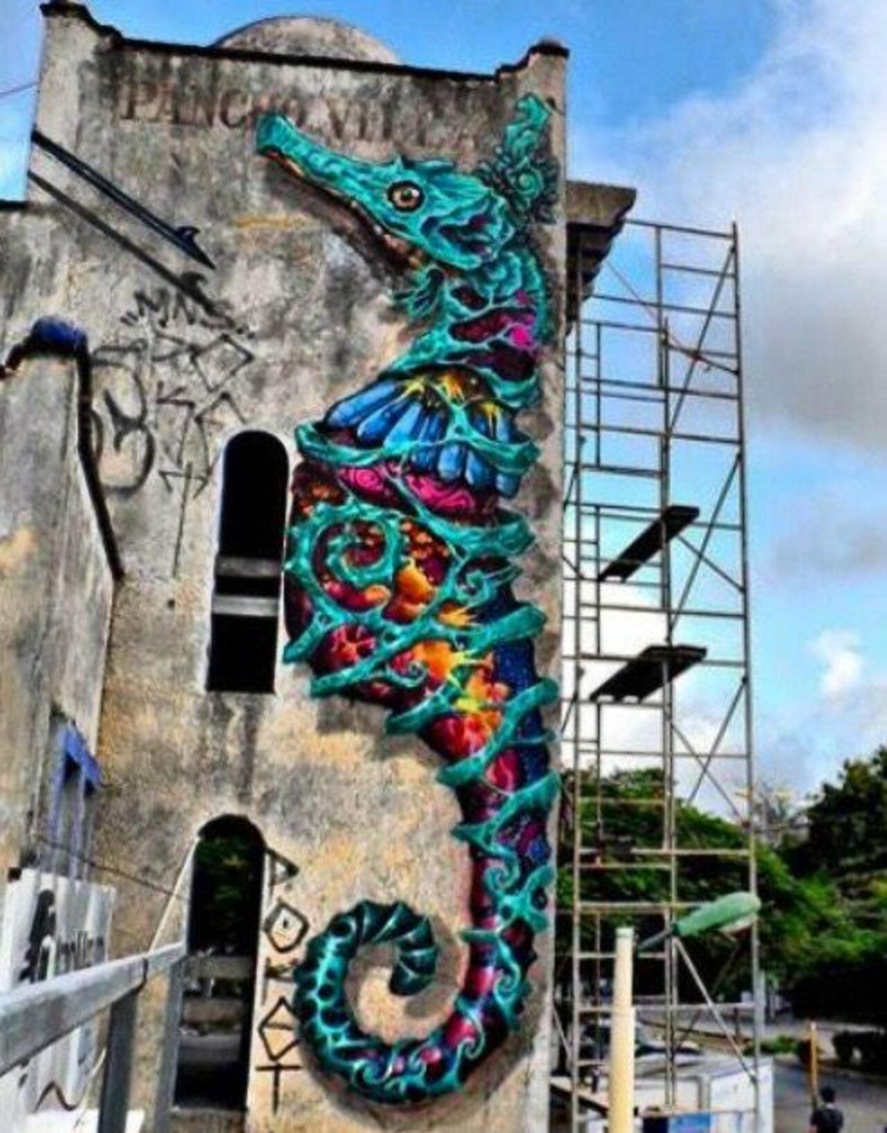 Sea-Horse Time-Warp  • #streetart #graffiti #art #funky #dope . : http://t.co/YJN0YwELqY