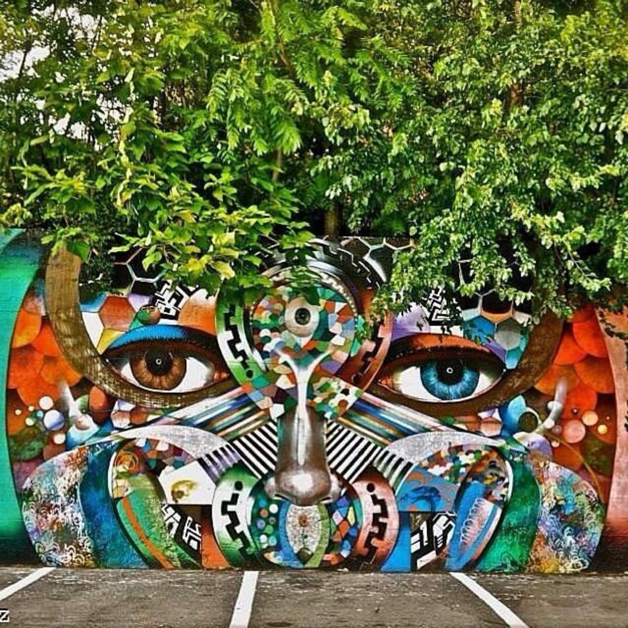 RT @designopinion: Artist @chorboogie new nature & Street Art piece. #art #mural #graffiti #streetart http://t.co/KdezPTQIJQ