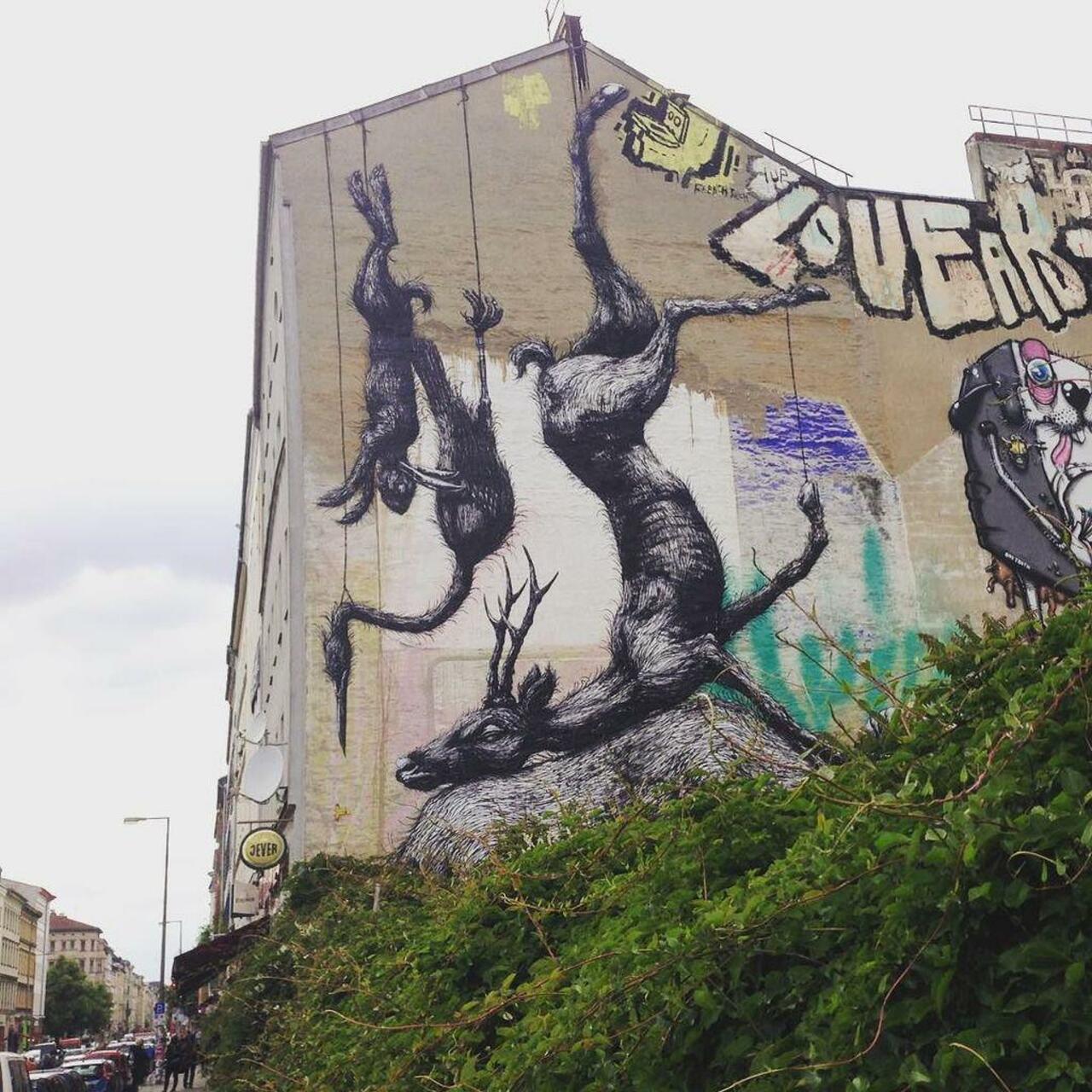 ROA #roa #graffiti #mural #kreuzberg #streetart #wheninberlin #art #berlin #germany #tbt by yas2512 https://t.co/AdxUxiwLxY