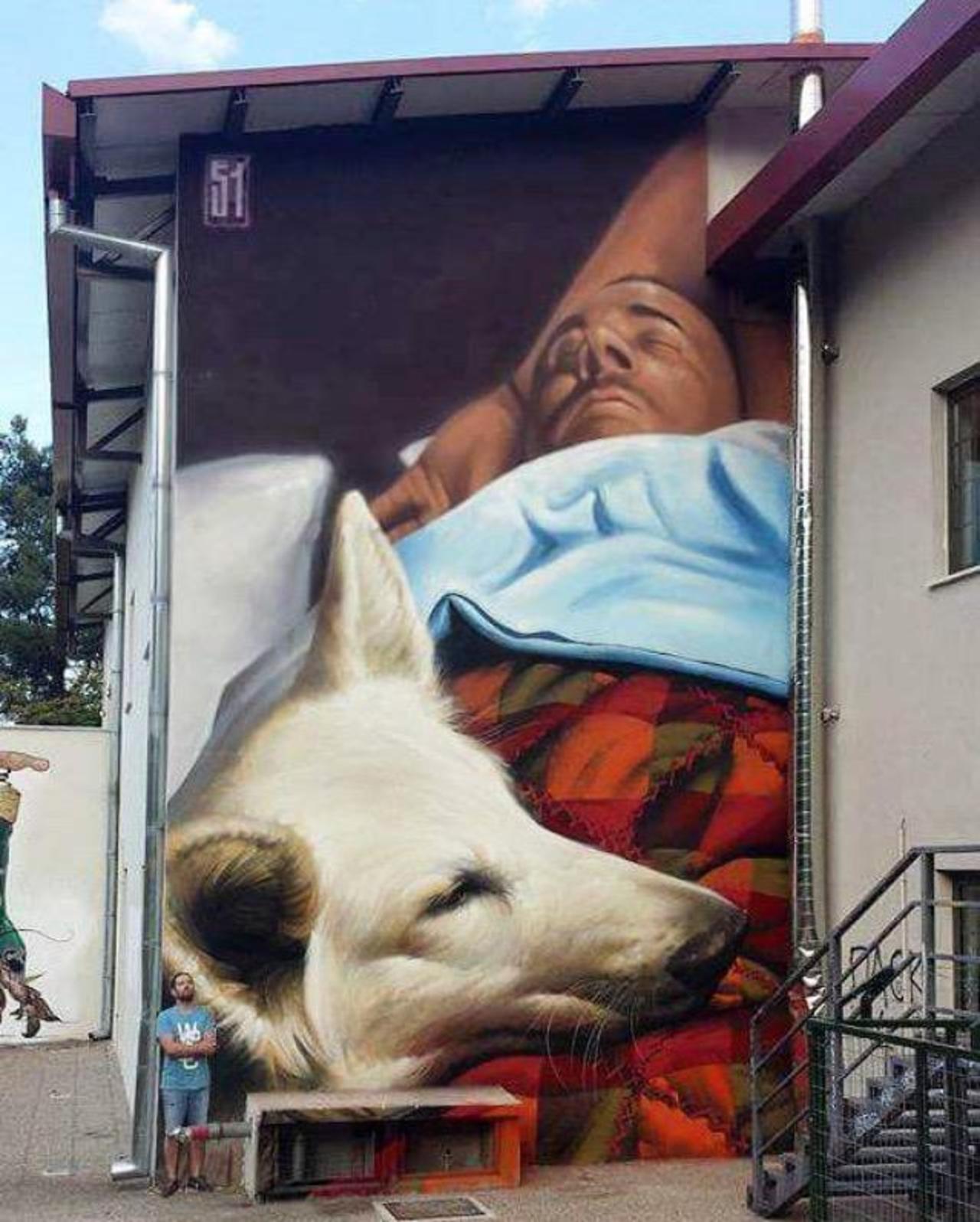 RT @LolammmoraLola: "@GoogleStreetArt: New Street Art by insane51 in Imathia, Greece.

#graffiti #mural #art #streetart http://t.co/F14vCS8Vic" ❤