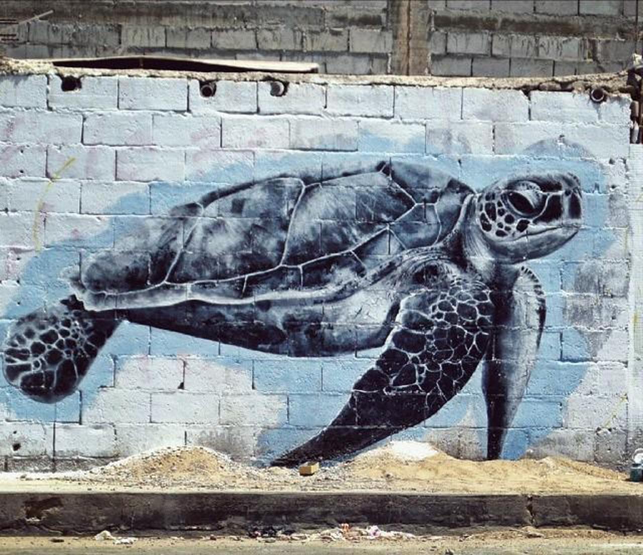 RT @nenimillan: "@GoogleStreetArt: Nature in Street Art by Joe Nadie in Lima, Peru 

#art #graffiti #mural #streetart http://t.co/6wMxolVp4e" @CICTMAR