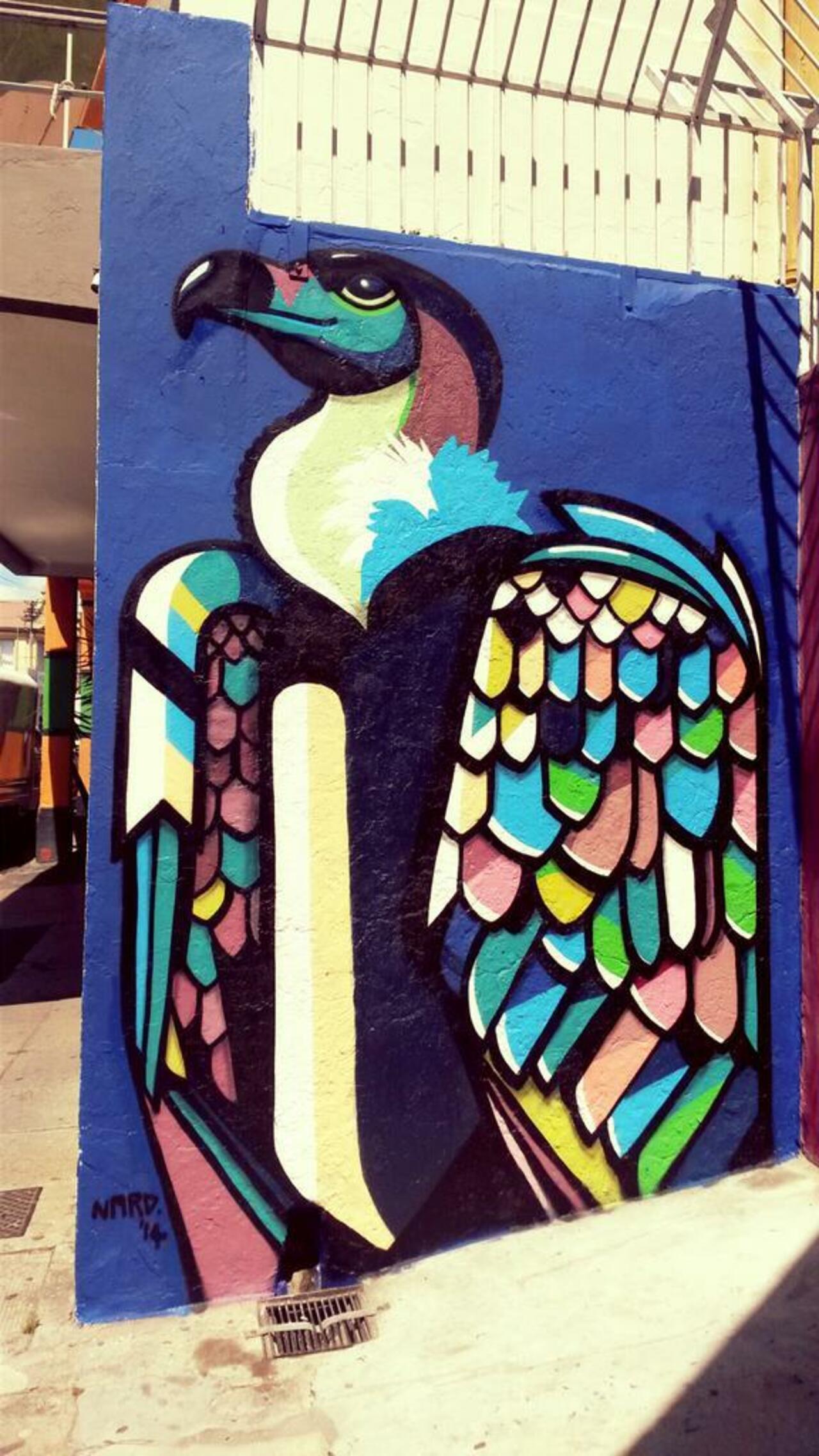 RT @nard_star: Just finished up this wall and this is the happiest vulture I've ever met. #fresh #streetart #graffiti http://t.co/KJglqD5cTa