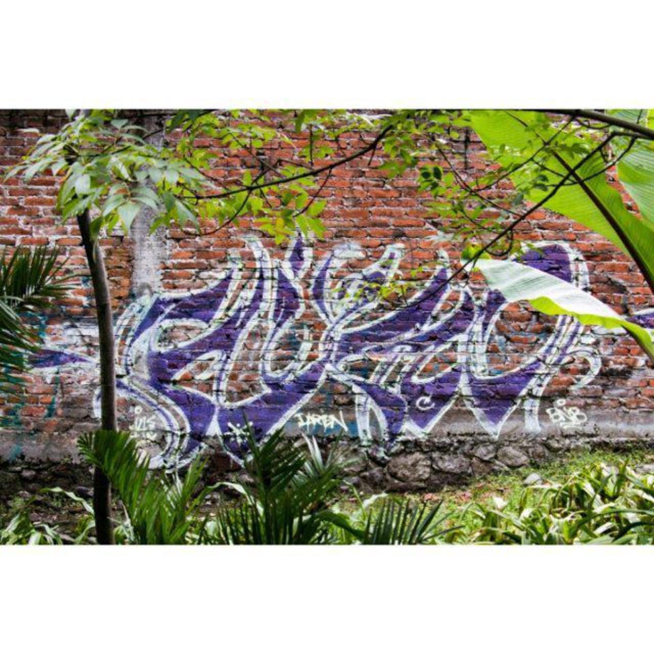 RT @artpushr: via #gongrrr "http://bit.ly/1j80HFB" #graffiti #streetart http://t.co/ANUjMT8p5s