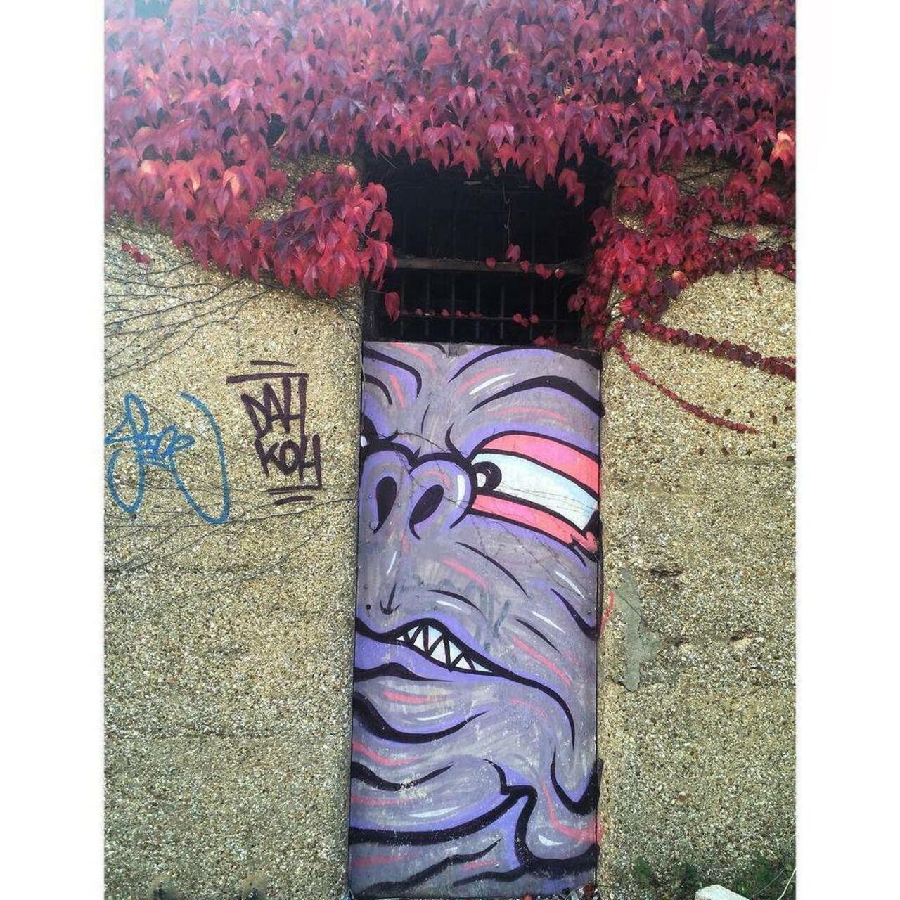 RT @artpushr: via #girlownscar "http://bit.ly/1j80H8A" #graffiti #streetart http://t.co/HR02nkTP69