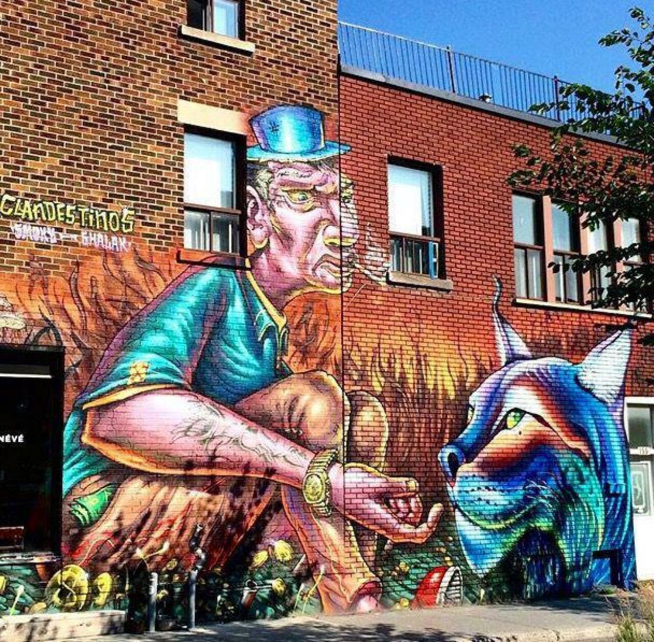 AuKeats: #switch a wall into #streetart by #brunosmojey and #shalak in #montreal #bedifferent #graffiti #art #arte http://t.co/Woin74q3AP