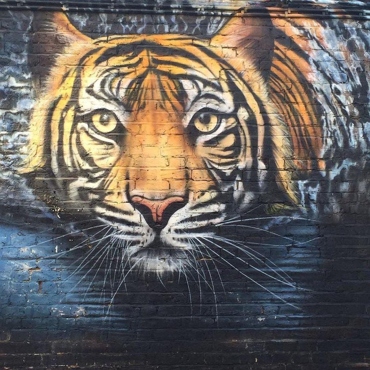 Have a roaring week everybody!!!
#graffiti #streetart #camden #art #london #love #enjoy #… http://ift.tt/1FP1AwW http://t.co/o5uKZ1EHas