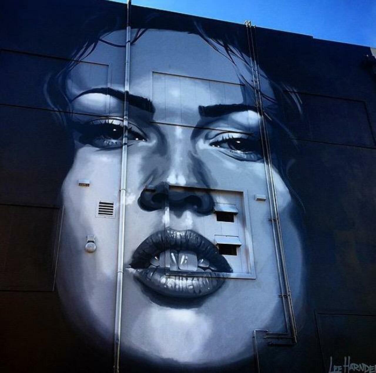Street Art by Irocka 

#art #graffiti #mural #streetart http://t.co/NE6RGWUgXW