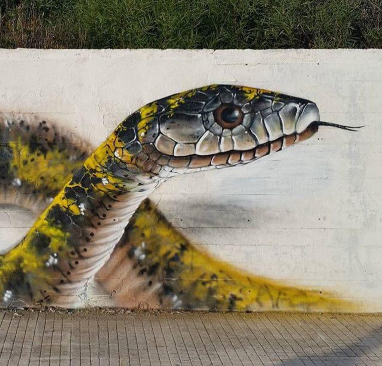 RT @GoogleStreetArt: Street Art by Cosimocheone 

#art #graffiti #mural #streetart http://t.co/GOqx1jqHUk