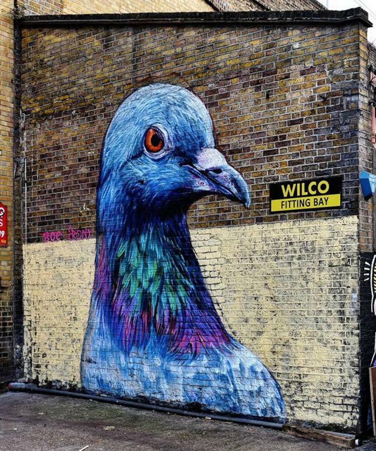 Street Art by Placee Boe & whoamirony in London 

#art #graffiti #mural #streetart http://t.co/4JNwuMZxOK