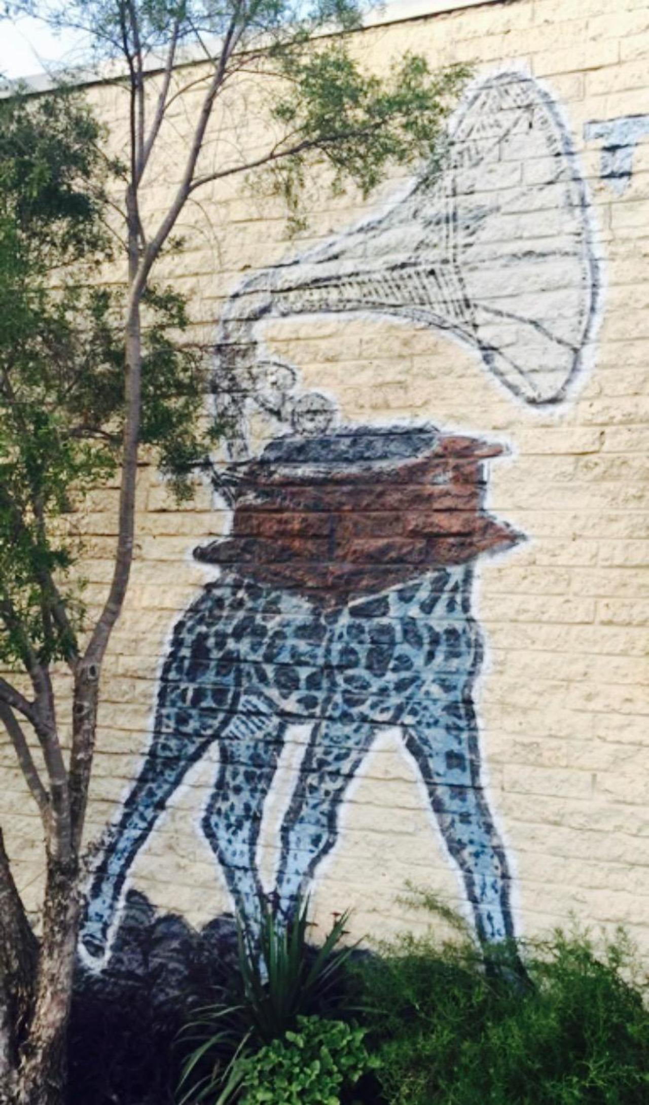 I just so happen to love #music and #giraffes! #streetart #graffiti #atx #soco http://t.co/LQOXb2dJoX