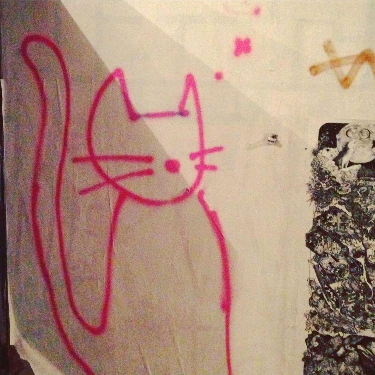 By #eztak #eztaktac
#menschmeier #instagraffiti #ingf #berlin #graffiti #cat #instacat #streetart #streetartberlin … http://t.co/DTc6iqMyd2