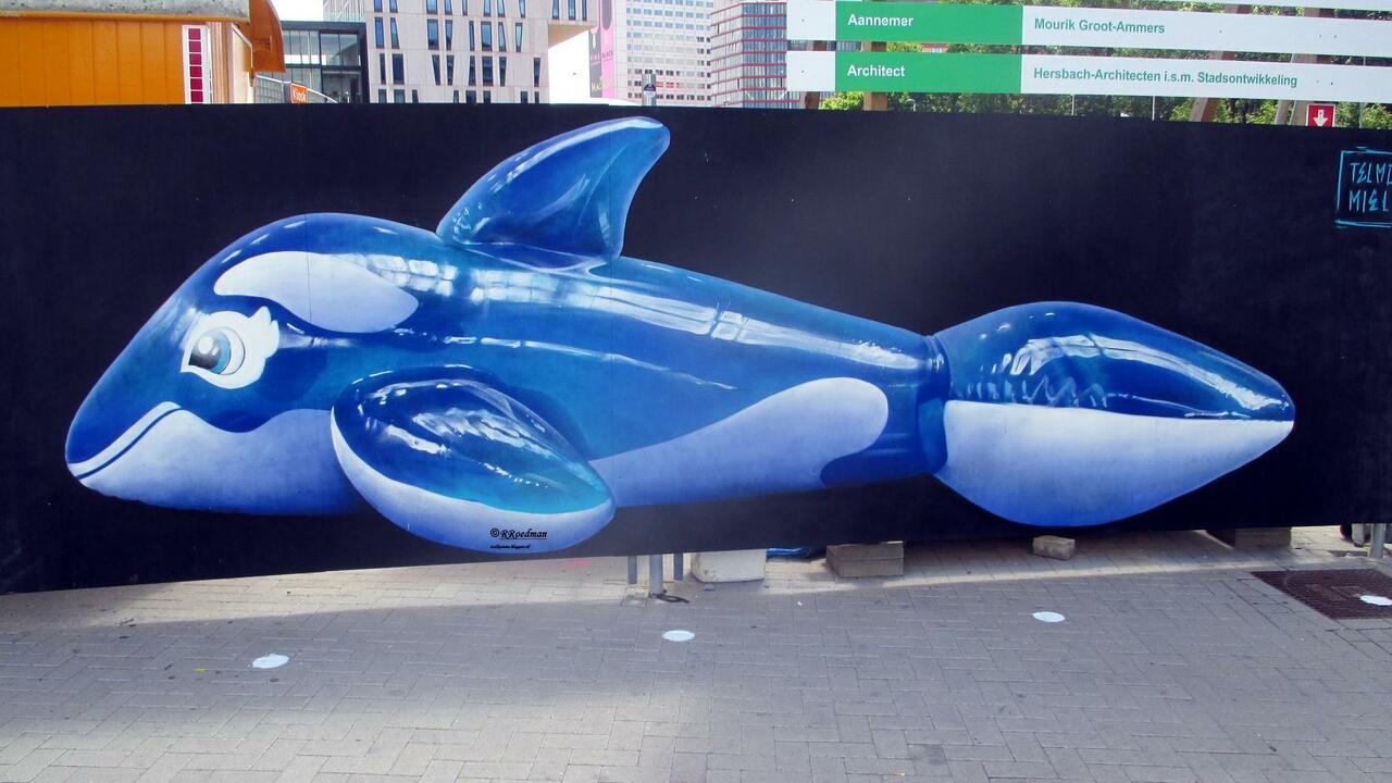 RT @RRoedman: #streetart #graffiti #murals nice dolphin in #Rotterdam from #TelmoMiel, 2 pics at http://wallpaintss.blogspot.nl http://t.co/HKYJMTl3QV