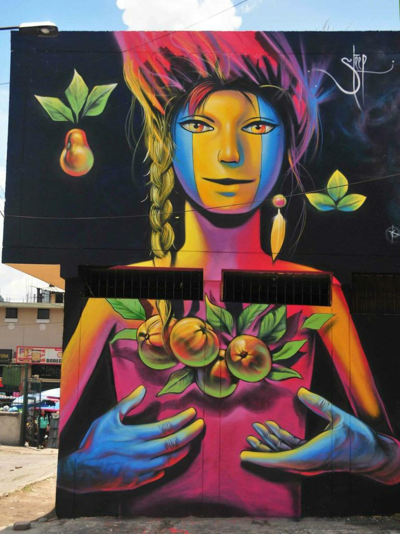 Street Art by Steep

#art #graffiti #mural #streetart http://t.co/BYmlMTw31Q