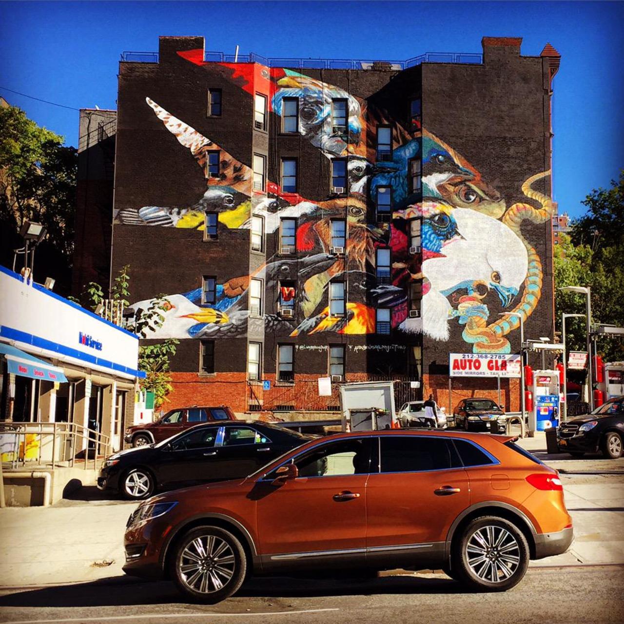 #Bella is a work of art... @LincolnMotorCo #lincolnmkx #Art #StreetArt #Graffiti #Auto http://t.co/7YhrbJIXd6