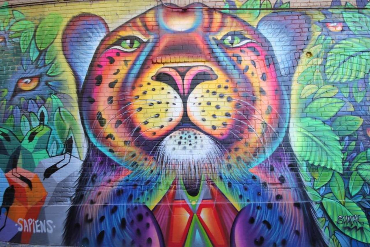 RT @QueGraffiti: Artista: Shalak 
Toronto, Canadá.
#art #streetart #mural #graffiti http://t.co/5S6VU6wDLl